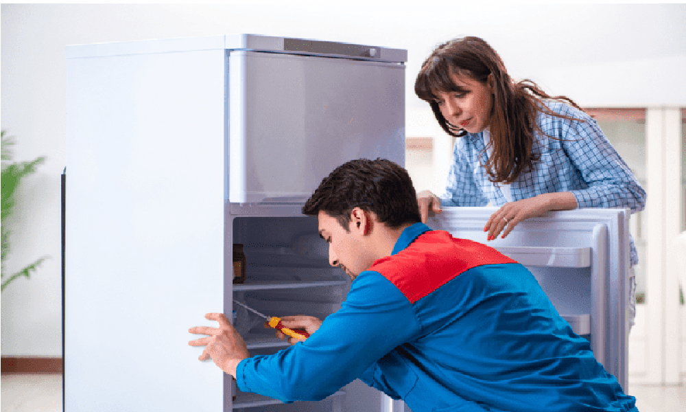 Sửa Tủ Lạnh Zipel Nội Địa Hàn Quốc, Giá Thay Block Bơm GAS Tủ Lạnh Zipel